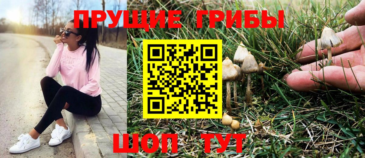 Галлюциногенные грибы Magic Shrooms  Вход с VPN  Майский 