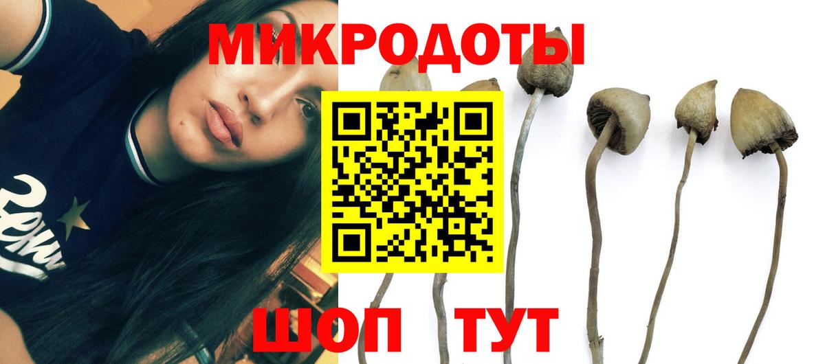 Галлюциногенные грибы мицелий Майский